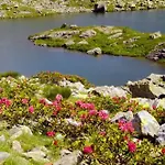 Il Runch Di Majrano Luca Agroturismo Viù